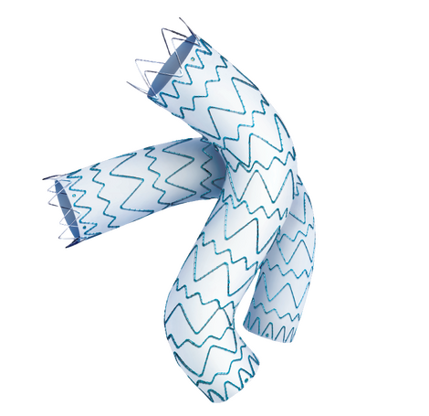 Tycheseal™ TAA Stent Graft System