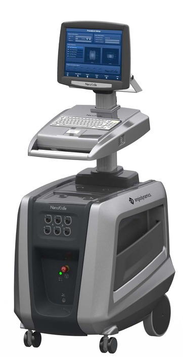 The NanoKnife System